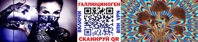 Псилоцибиновые грибы Magic Shrooms  цены   Талица 